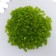 Glass beads 6/0 "matte translucent. Coniferous" 30 g