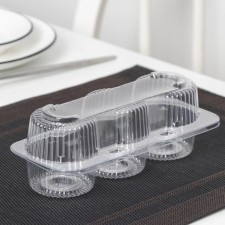 A plastic disposable container with an insoluble lid, 19.4 × 7.9 × 6.8 cm, internal dimensions 5 × 6 cm, the color is transparent