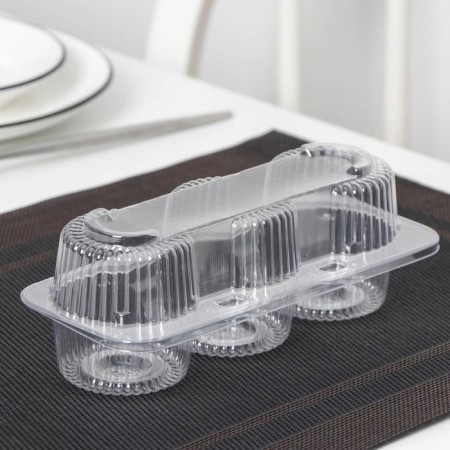 A plastic disposable container with an insoluble lid, 19.4 × 7.9 × 6.8 cm, internal dimensions 5 × 6 cm, the color is transparent