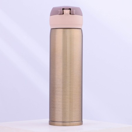 Thermos with the Mode Forrest button, 450 ml, gold, heat conservation 10-12 hours-1