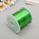 Biser fishing line 0.3 mm 100 m, green