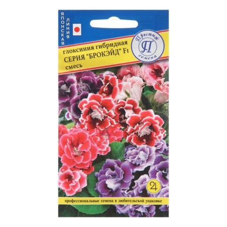Gloxinia flowers "Brockied", F1, 5 pcs.