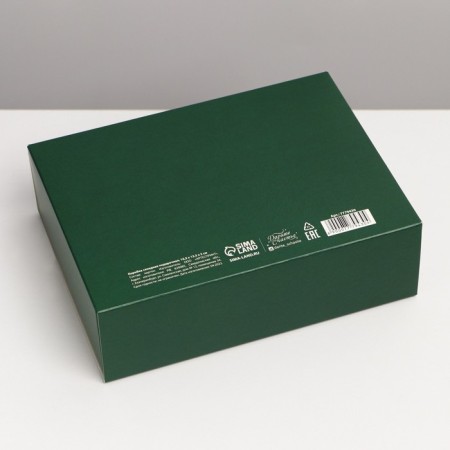 Happy New Year folding box, embossing, green, 16.5 x 12.5 x 5 cm, New Year-5
