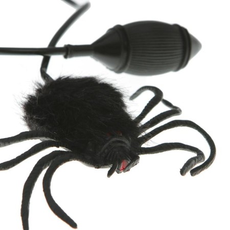 Fun "jumping spider"-1