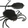 Fun "jumping spider"