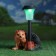 Garden Light "Hedgehog on legs with a lantern" 25 cm mix