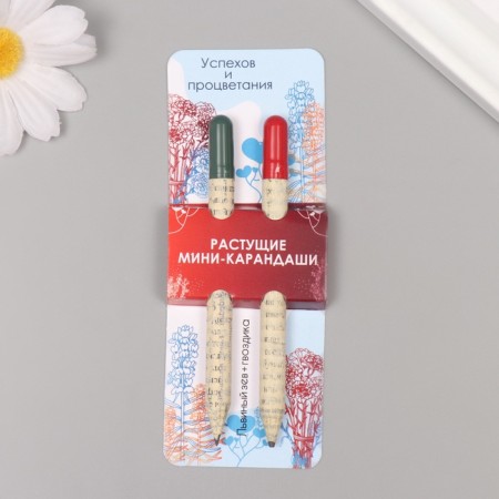 Growing gift pencils Mini "Lion Zev + Clove" set 2 pcs.