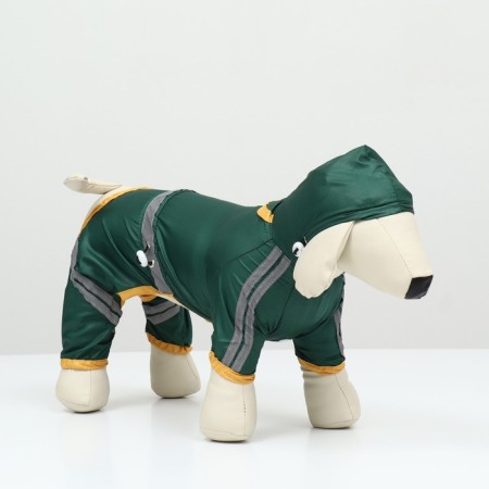 Combiason for dogs, demi-season, size 2hl (DS 34-36, OG 51-53, Osh 39-41 cm), green-1
