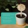 Garden signs for marking, 12 cm, set 8 pcs., Wood, Tomato, Greengo