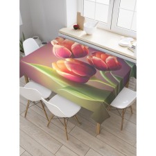 Gabloon on the table 