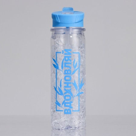 Water bottle "Inspecting", 500 ml-1