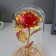 Nightlight "Red Flower" LED from batteries 3haaa 11x11x21.5 cm Risalux
