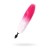 White-pink tail