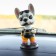 Dog on a car panel shocking his head, French bulldog