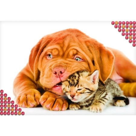 Diamond mosaic "kitten and puppy", with full filling on canvas, 22 × 32 cm-1