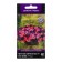 Flowers of Petunia Ampel F1 Iza Vave Linda, 5pcs