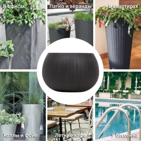 Beton Bowl flowers, 29 × 19.5 × 2 cm, black-6