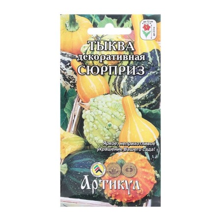 Seeds of pumpkin decor. "Surprise", 6 pcs