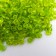 Glass beads 6/0 "matte translucent. Coniferous" 30 g