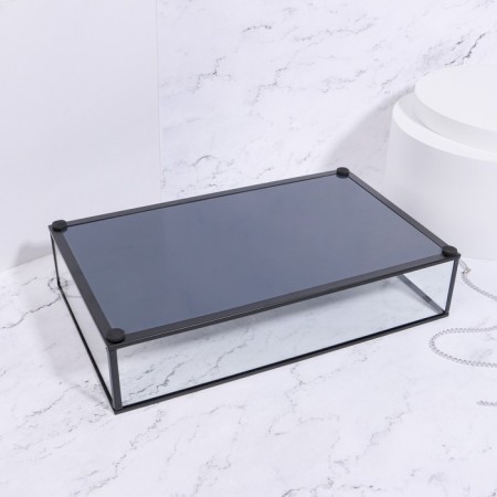 Square organizer for storage, 1 section, glass, 29 × 17.5 × 6.5 cm, the color is transparent/black-2