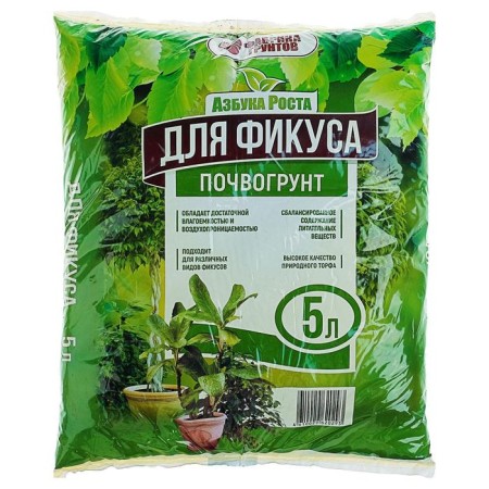 Soil ficus, 5 l