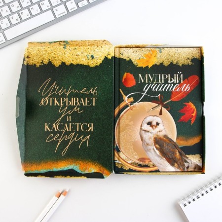 Diary in a gift box, A5, 80 sheets, a solid cover to the "Golden Teacher"-1