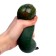 Anthistress Mick "Avocado", with a hydrogel, in a showbox