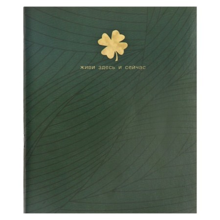 Notebook of 48 sheets in the Four-leafer cage, cover coated cardboard, VD-LK, OFSET block, 4V MIX-5