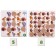 Educational game "Mathematical box. Animals"