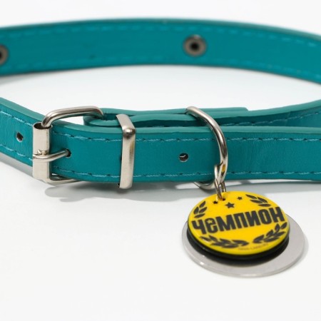 Dog collar "Champion" with an addressee, Osh 27-34 cm-3