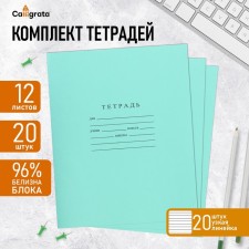 A set of notebooks of 20 pieces, 12 sheets in a narrow line Paper Factory 