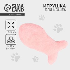 A cat's toy 