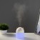 Night-owner "Satisfied cat" LED 2W USB 250ml white 8.4x8.4x10.8 cm Risalux