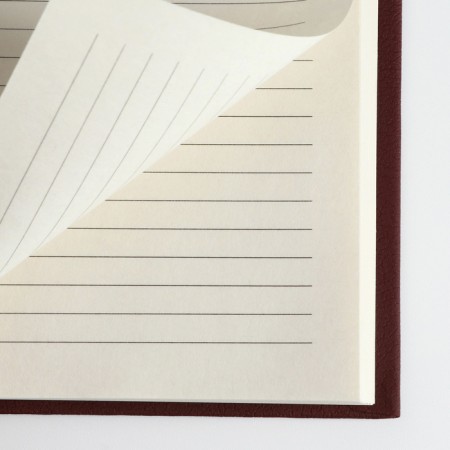 Deliciper of Leduced A5, 160 liters. Solid cover. Leatherette. Brown. Cream block-8