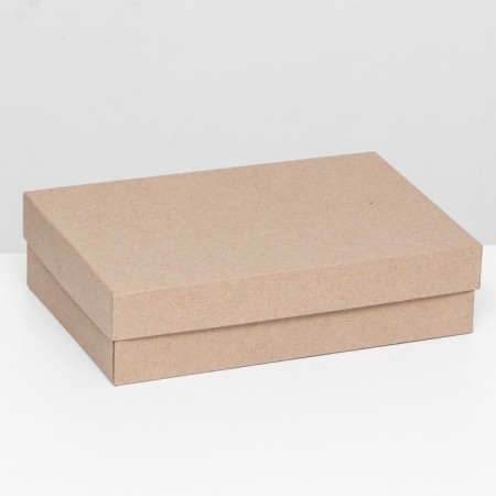 Gift box "Kraft", 24 x 16 x 6 cm-1