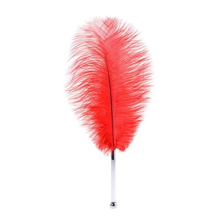 Ostrich -toyfa Theatre feather, red color, 40 cm