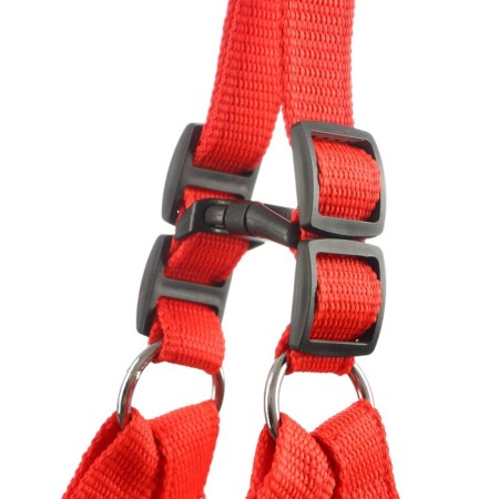 COMPORTS COLLECT COMBODY, 2 cm, Osh 40-60 cm, og 44-62 cm, red-2