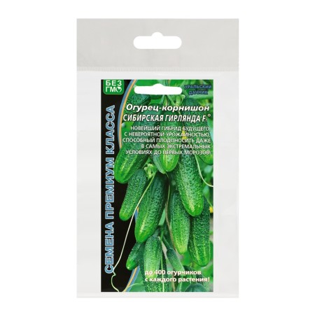 Cucumber seeds "Siberian garland" F1 early, parthenocarpic, set 5 pcs-2