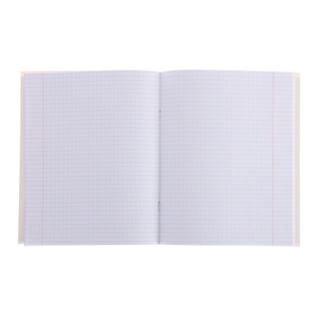 Notebook of 48 sheets in the Calligrata Meow cage, covered cartoon, OFSET block, mix-1