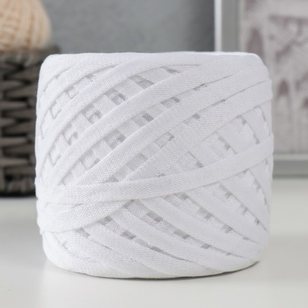 Knitted yarn "Ribbon" 85m/170 ± 5 g (white)