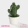 Ceramic Bank for spices of the Cactus, 160 ml, 8 × 8 × 14 cm