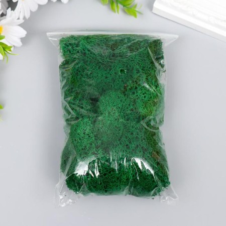 Moss stabilized "bright green" 45 grams (+-5 gr)-2