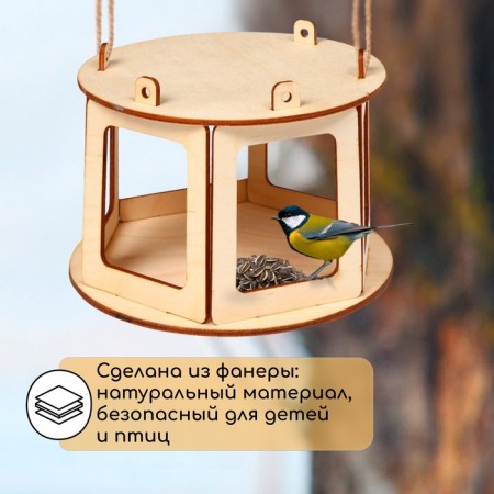 DIY Wooden Bird Designer with your own hands, 16.5 × 16.5 × 10 cm, Greengo-2