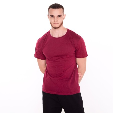 Male T -shirt, Bordeaux color, size 48-1