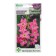 Cinosogosum seeds pleasant "pink bracelet", 7 pcs