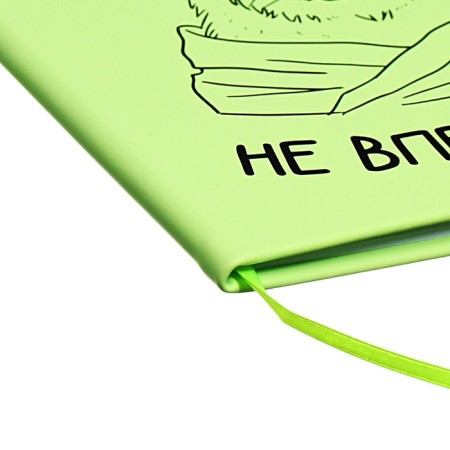 Universal diary for grade 1-11 Capybara, hard cover, artificial leather, silkography, lies, 80 g/m2-2