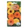 Flower seeds Annual calendula stunted fiesta mixture 0.2