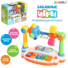 Developing toy 