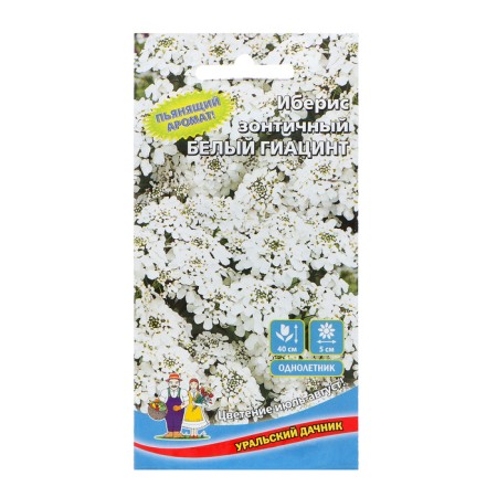 Flower seeds Iberis Umbrella "White Hyacinth", 0, 15 g,