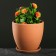 Flower Terra pot No. 2 0.8 l, terracott